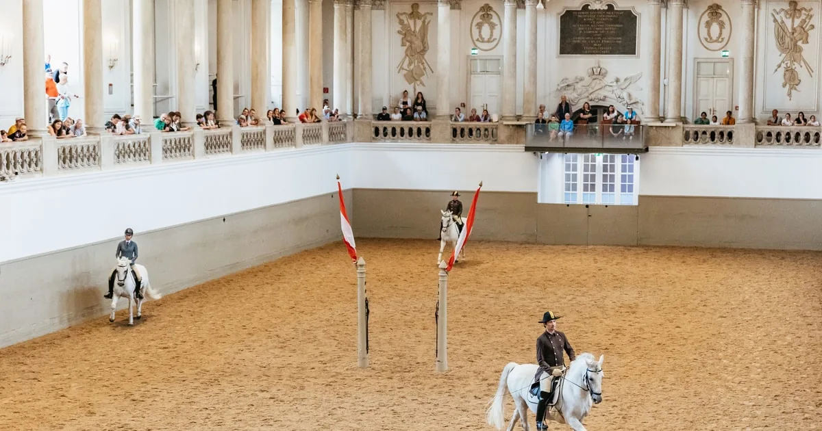 Vienna: Spanish Riding School Training